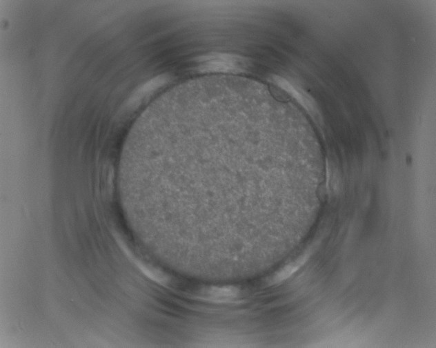 X0000067400157200604281916