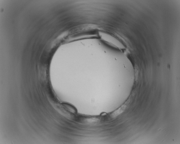 X0000067400158200604281916