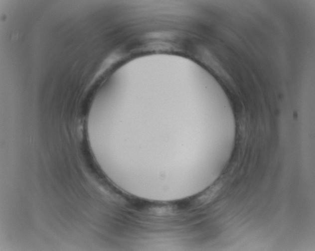 X0000067400160200604281916