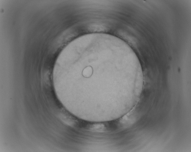 X0000067400162200604281916