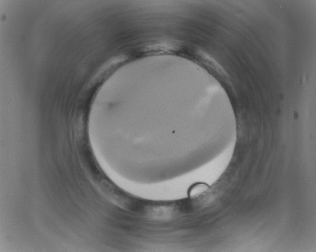 X0000067400163200604281916