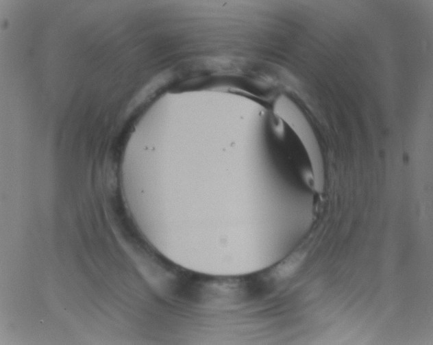 X0000067400164200604281917