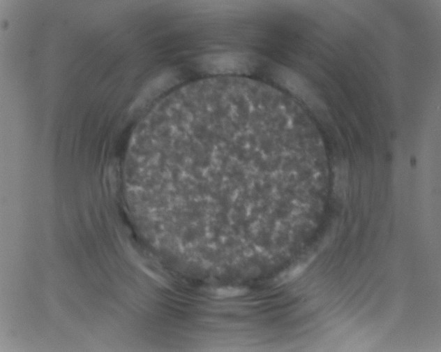 X0000067400165200604281917