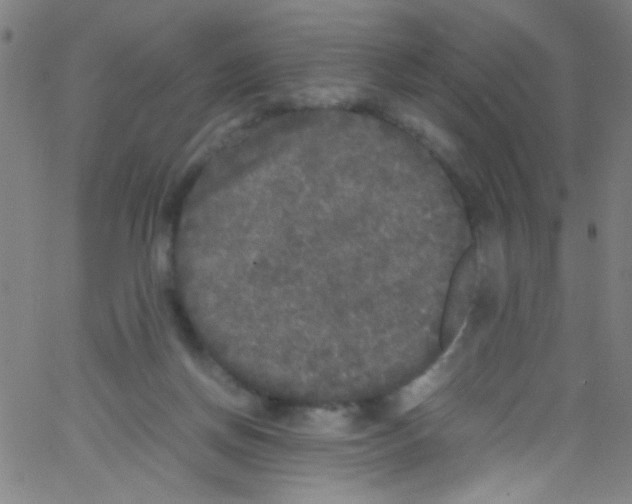 X0000067400166200604281917