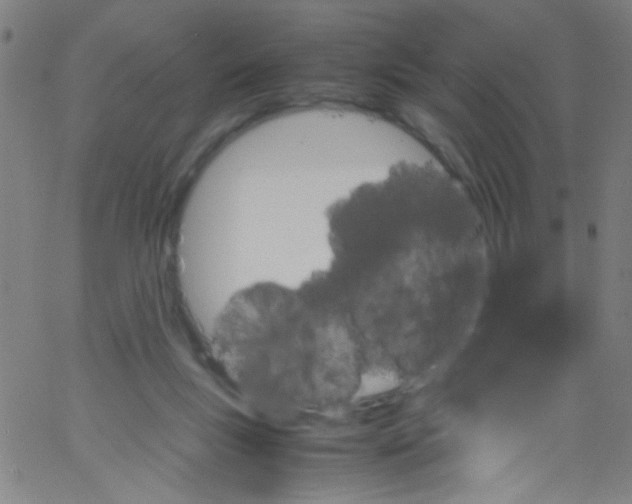 X0000067400167200604281917