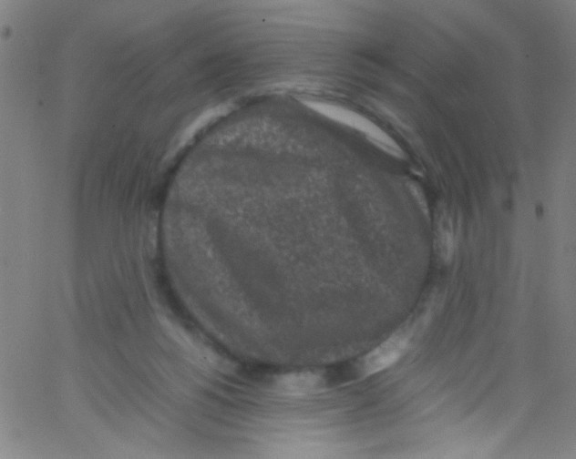 X0000067400168200604281917