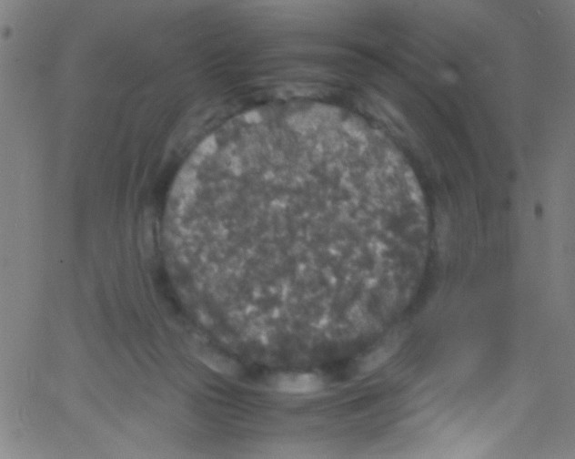 X0000067400169200604281917