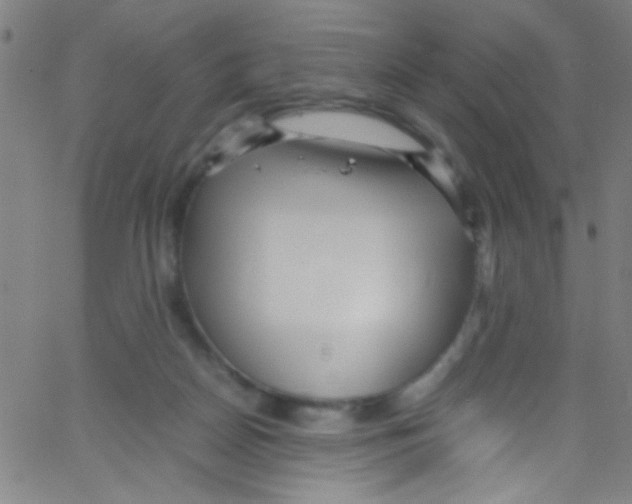 X0000067400170200604281917