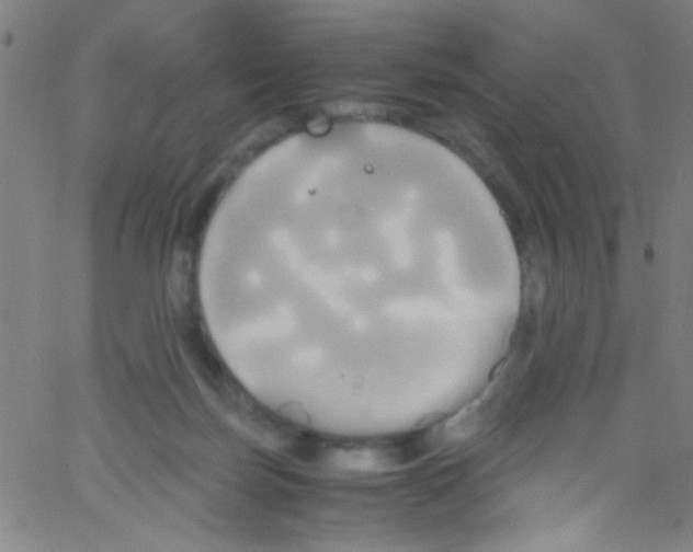 X0000067400171200604281917