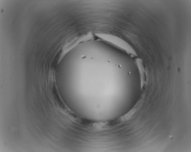 X0000067400172200604281917