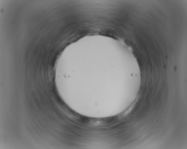 X0000067400174200604281917