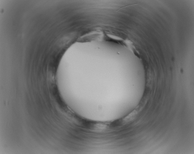 X0000067400176200604281917