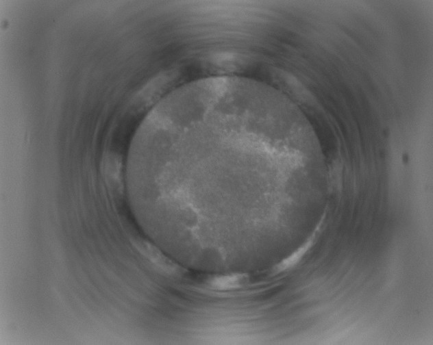 X0000067400178200604281917