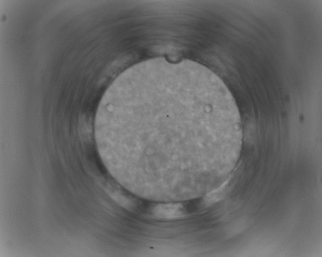 X0000067400179200604281917