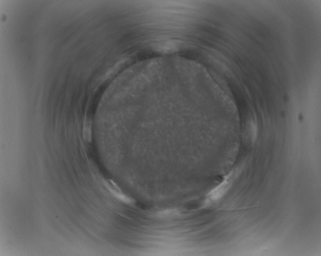 X0000067400180200604281917