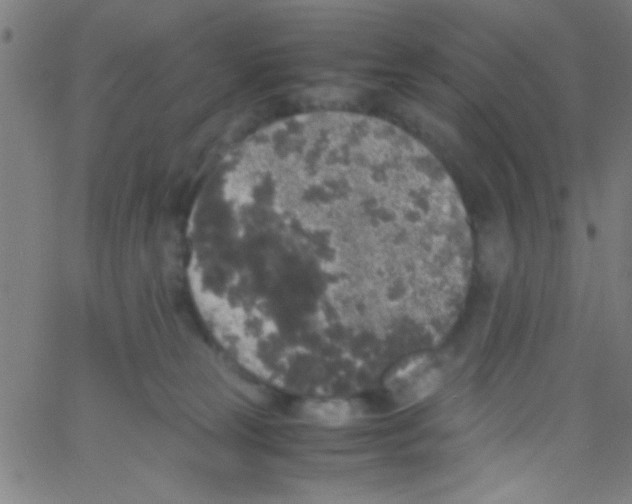 X0000067400181200604281917