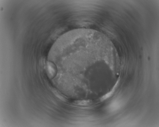 X0000067400182200604281917