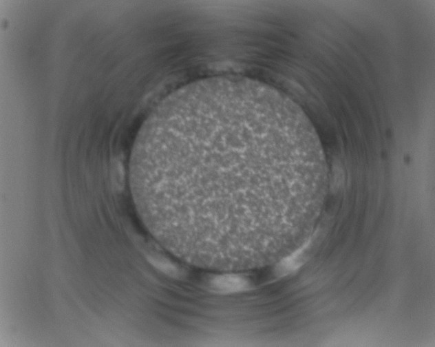 X0000067400183200604281917