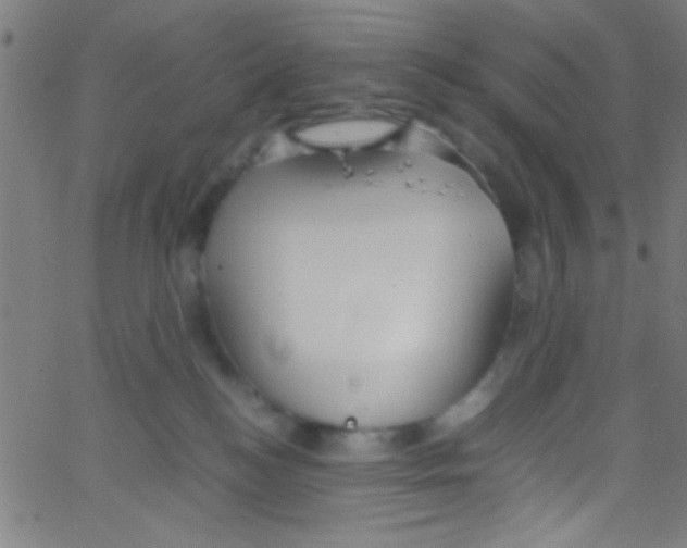 X0000067400184200604281917