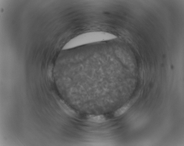 X0000067400185200604281917