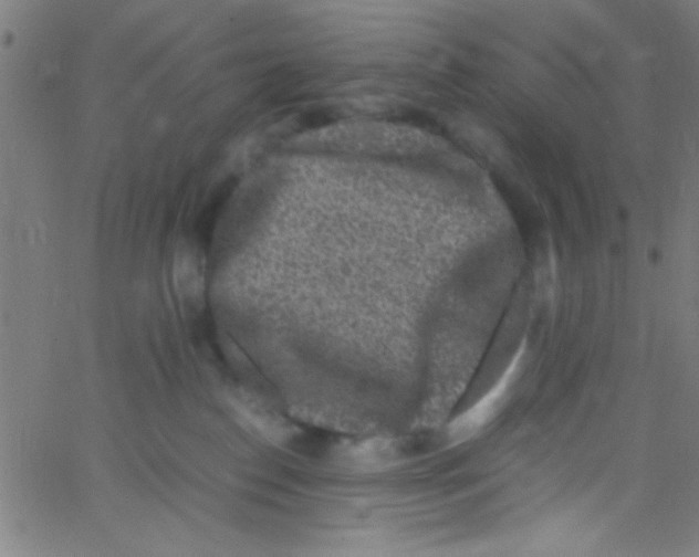 X0000067400186200604281917