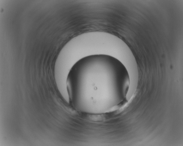 X0000067400187200604281917