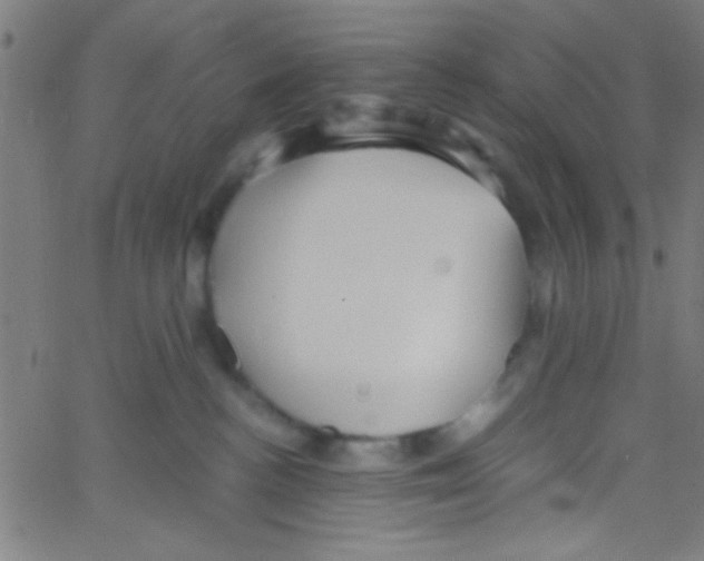 X0000067400188200604281917