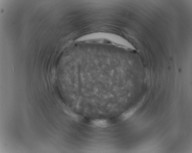 X0000067400189200604281917