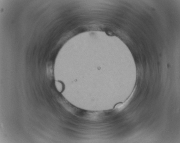 X0000067400190200604281917