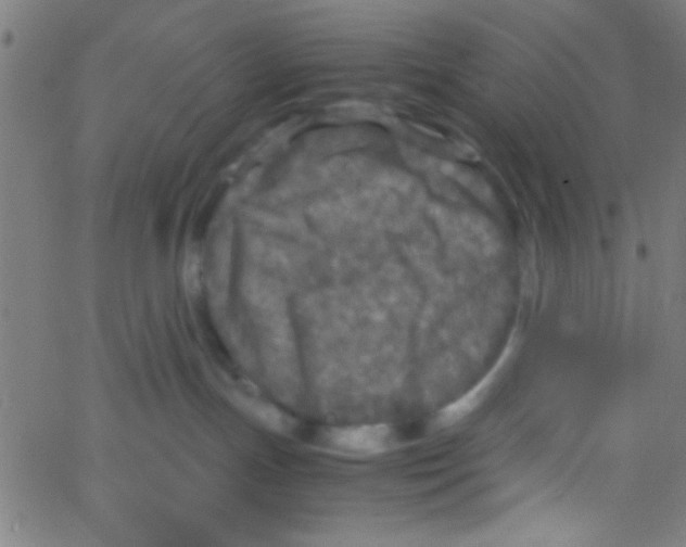 X0000067400191200604281917