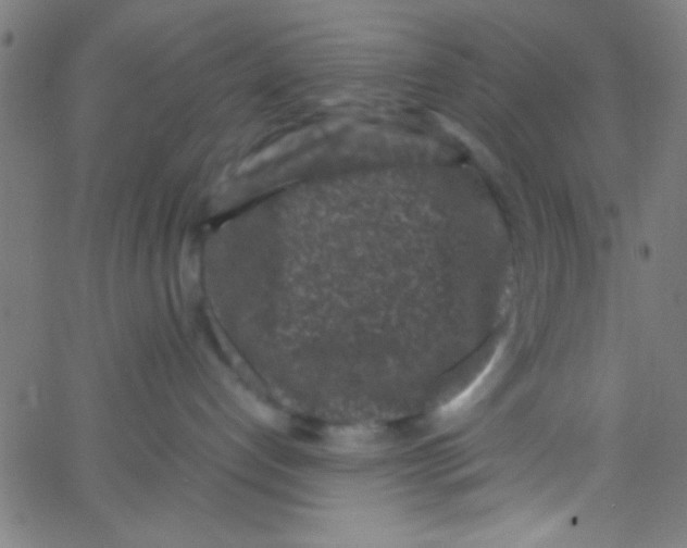 X0000067400192200604281917