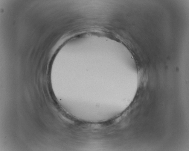 X0000067400195200604281916