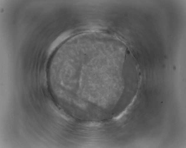 X0000067400198200604281916