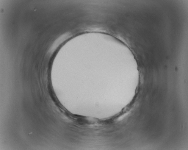 X0000067400199200604281916