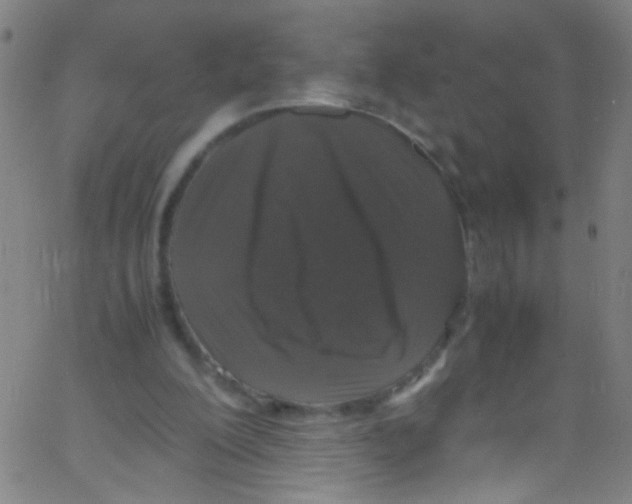 X0000067400200200604281916