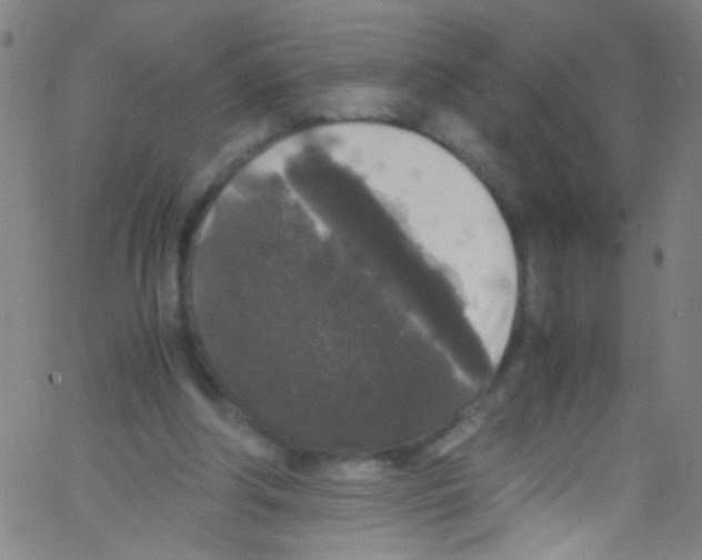 X0000067400202200604281916