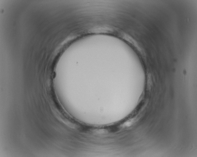 X0000067400203200604281916