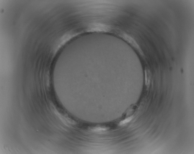 X0000067400204200604281916