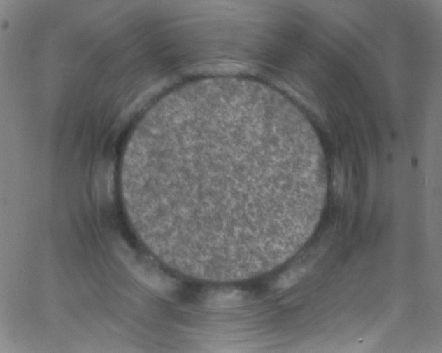 X0000067400206200604281916