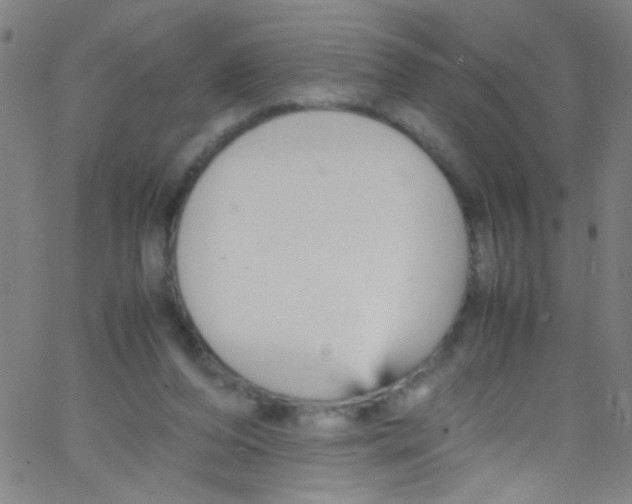 X0000067400208200604281916