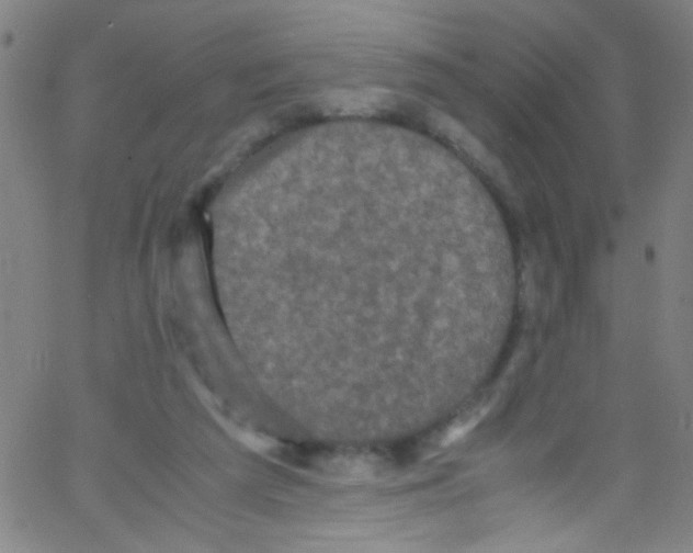 X0000067400209200604281916