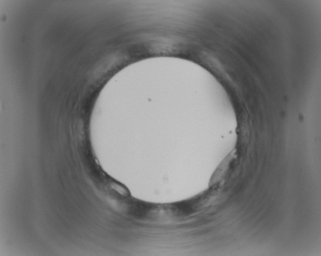 X0000067400211200604281916