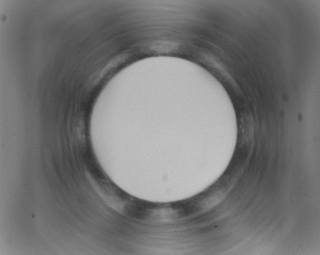 X0000067400212200604281916