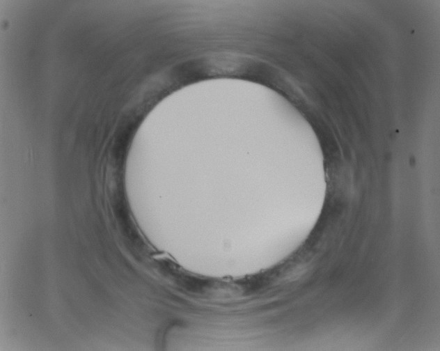 X0000067400215200604281916