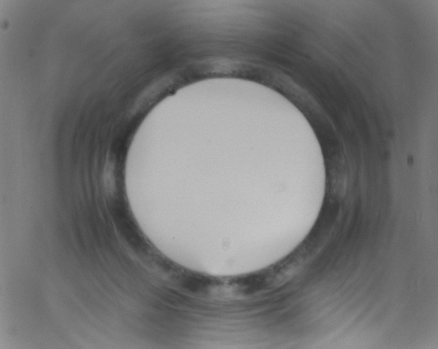 X0000067400216200604281916