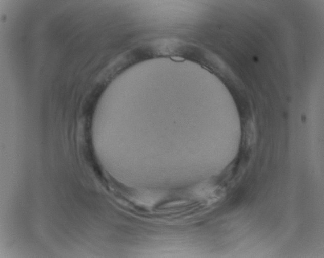 X0000067400217200604281916