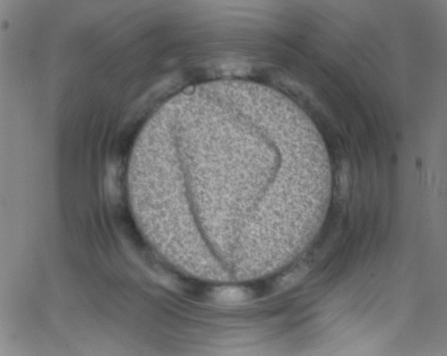 X0000067400218200604281916