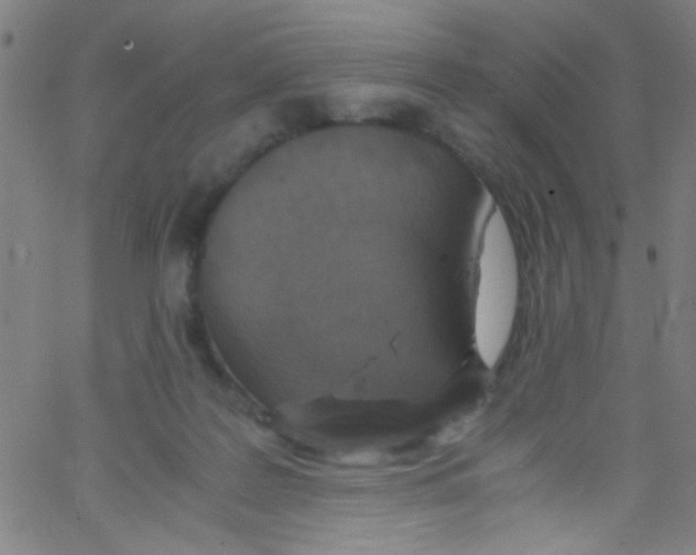 X0000067400219200604281916