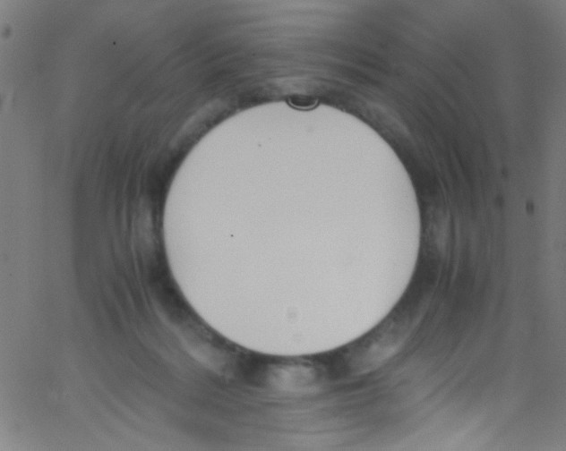 X0000067400220200604281916