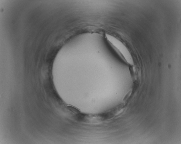 X0000067400221200604281916